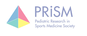 prism logo